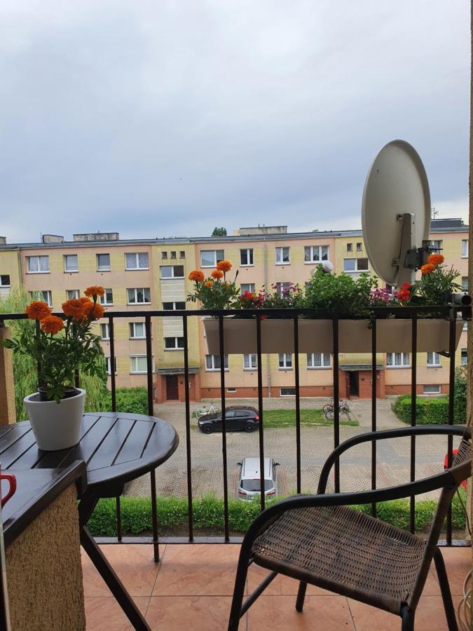 سفينويتشي Julia Apartament W Centrum المظهر الخارجي الصورة